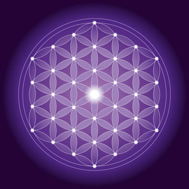 Vector Illustration of a beautiful Geometrical Flower of Life pattern with Symmetrical Structure
