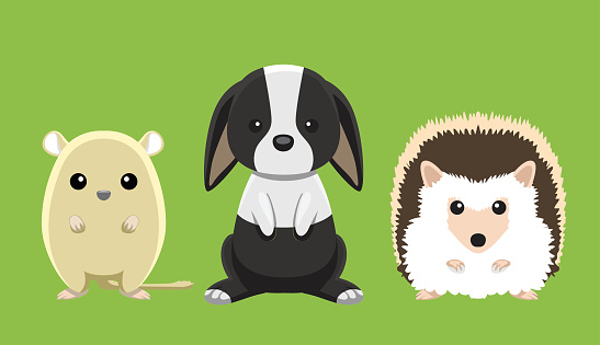 Gerbil Rabbit Hedgehog Pet Doll Set Cartoon Vector Illustration
