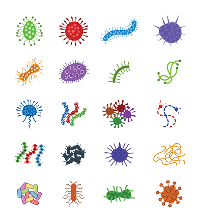 Germs and bacteria