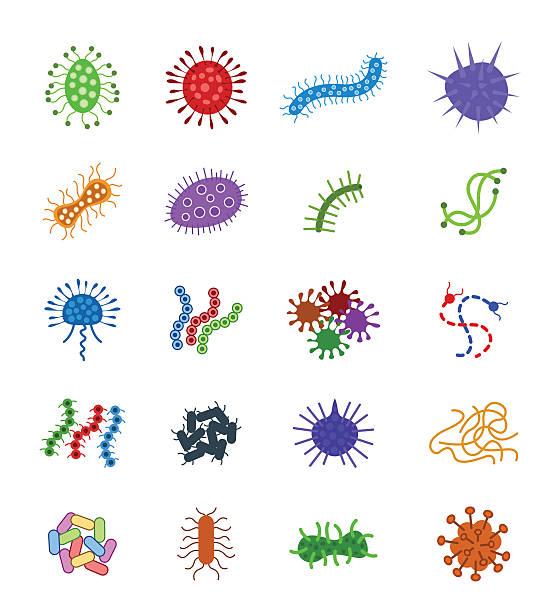 Germs and bacteria Germs and bacteria parasitic stock illustrations