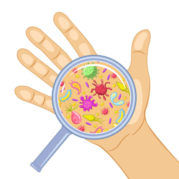 Germs on a dirty hand Germs on a dirty hand. Bacteria under magnifier, hand washing and hygiene campaign poster. Vector flat style cartoon illustration isolated on white background unhygienic stock illustrations