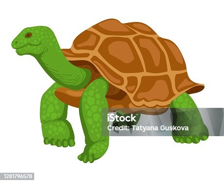 istock Giant turtle 1281796578