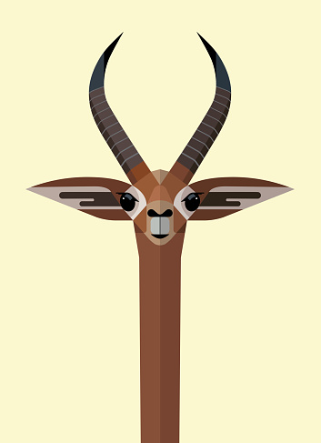 Giraffe gazelle portrait