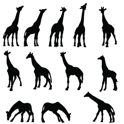 Giraffe silhouette collection
