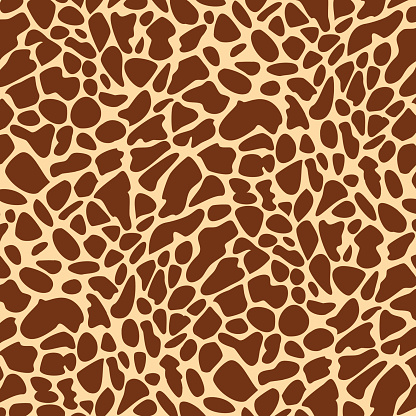 Giraffe skin pattern