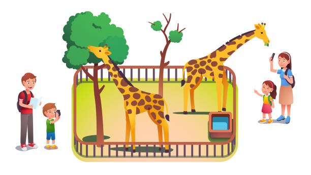 소녀, 소년 아이들과 동물원에서 사진을 찍는 부모. 아이들이 자연을 방문하는 동물원을 즐기는 가족은 인클로저에서 나무 잎을 먹는 기린 동물을보고 있습니다. 육아 플랫 벡터 일러스트레이� - animal photography stock illustrations