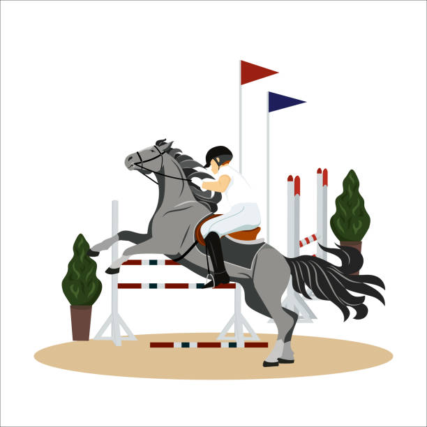 bildbanksillustrationer, clip art samt tecknat material och ikoner med tjejen uppträder på en häst i en tävling. jockey på häst. ridning. ridsport. isolerad vektor illustration på en platt stil. - working stable horses