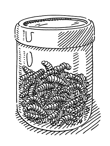 Glass Container With Maggots Drawing