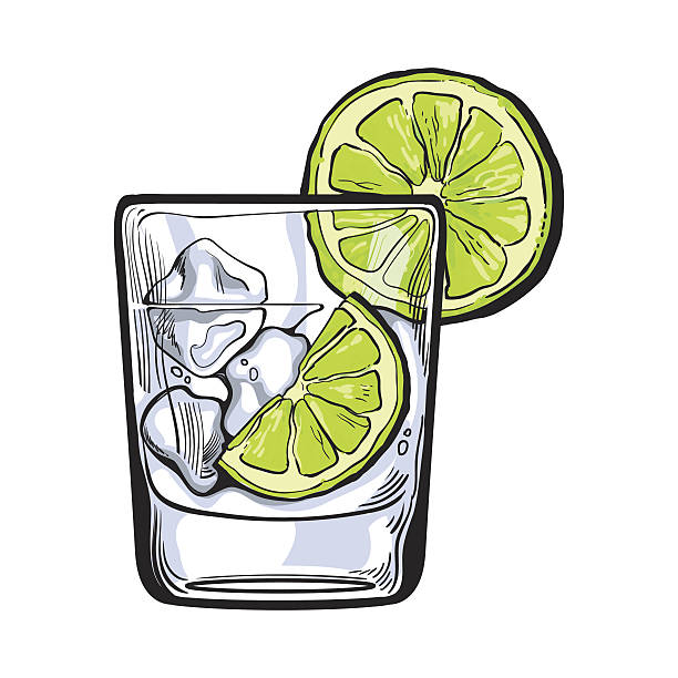 Glass of gin, vodka, soda water with ice and lime Glass of gin, vodka, soda water with ice and lime, sketch style vector illustration isolated on white background. Realistic hand drawing of transparent alcohol shot with ice rocks and lime slices vodka soda stock illustrations
