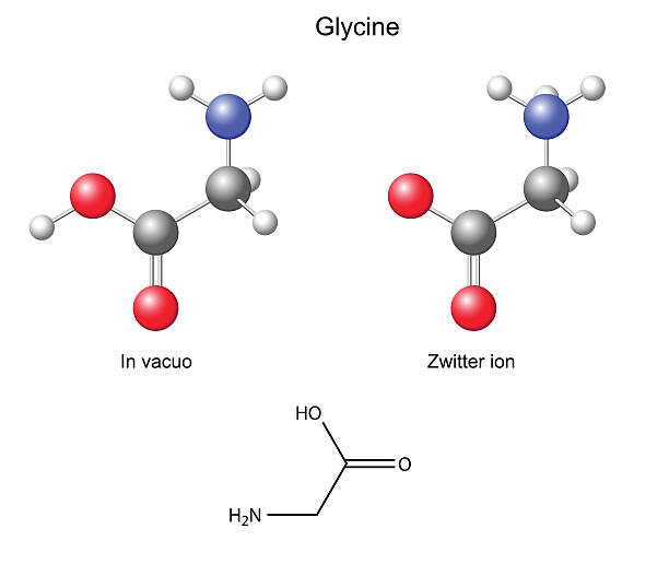 Glycine (Gly) - chemical structural formula and models vector art illustration