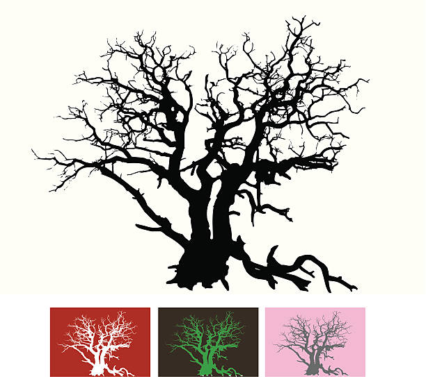 Gnarled tree vector art illustration