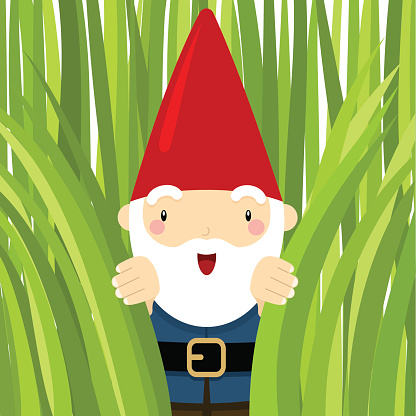 Gnome in the garden. Peeking grass