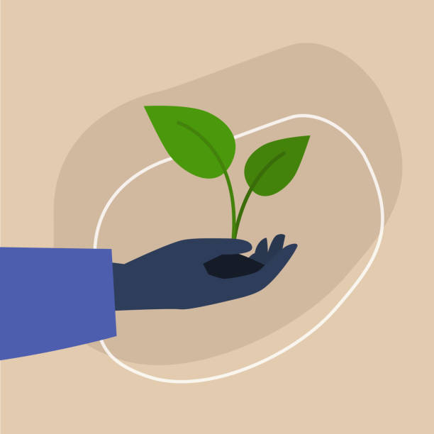 idź zieloną, ciemnoskórą ręką trzymającą kiełkowanie roślin, zrównoważony rozwój i odpowiedzialność, zachowanie przyjazne dla środowiska - sustainability stock illustrations