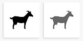 istock Goat Black and White Square Icon 1152107306