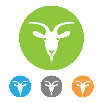 Goat head icon vector