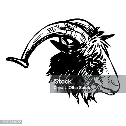 istock Goat head sketch. Realistic portrait of farm animal. Hand drawn vector illustration. Clipart for decor isolated on white. 1404283072