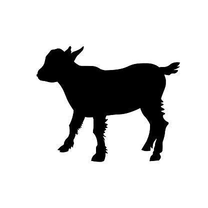 Download Goat Kid Silhouette Stock Illustration - Download Image ...