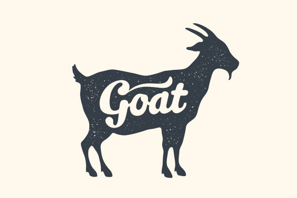 Goat, lettering. Design of farm animals - Goat Goat, lettering. Design of farm animals - Goat side view profile. Isolated black silhouette goat with text lettering on white background. Vector Illustration cheese silhouettes stock illustrations