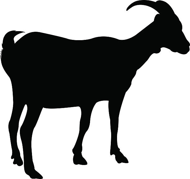 Download Best Goat Illustrations, Royalty-Free Vector Graphics ...