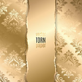 Vector illustration Gold torn paper. Template background