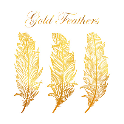 Gold Feathers Collection with White Background. Design Element for Greeting Cards and Wedding, Birthday and other Holiday and Summer Invitation Cards Background.