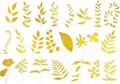 Gold leaf / plant set