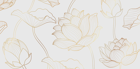 Gold lotus line pattern. Golden design with lotus flower and leaves on white background. Vector wallpaper illustration.