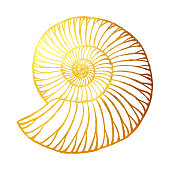 istock Gold Nautilus Isolated. Hand Painted Clip Art Design Element for Labels, Business Cards, Flyers. 1220998808