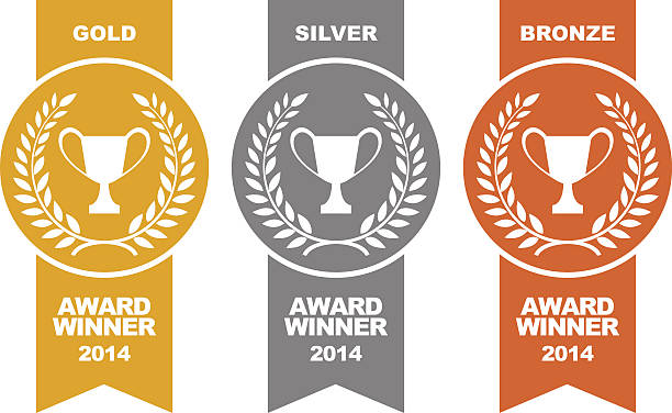 골드, 실버, 브론즈 winner 메달 2개 - 청동색 stock illustrations
