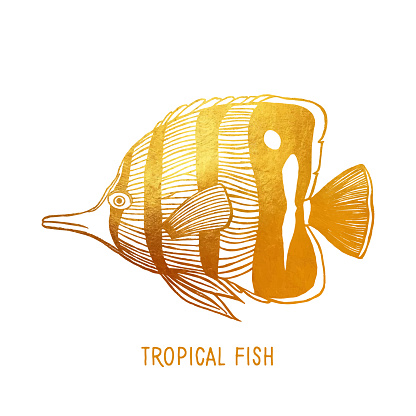Gold Tropical Fish Isolated. Hand Painted Clip Art Design Element for Labels, Business Cards, Flyers.