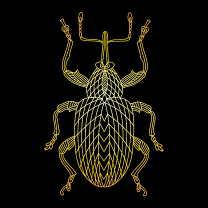 A golden beetle in a linear style. Linear vector illustration of a golden beetle.