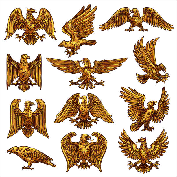 Golden eagle, hawk, falcon, healdic birds of prey Golden heraldic eagle icons with vector birds of prey, falcon and hawks. Eagles flying and standing with raised and spread wings, gold feathers, claws and tails, royal coat of arms, falconry symbols bills patriots stock illustrations