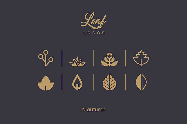 Golden minimal leaf and foliage logo icons collection Golden minimal leaf and foliage logo icons collection autumn symbols stock illustrations