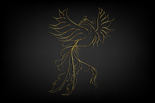 Golden Phoenix bird border for decorate on black background, illustration tattoo over black background