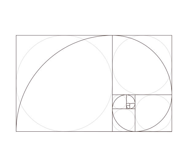 Golden ratio Fibonacci pattern design template Vector illustration of the golden ratio template or fibonacci pattern design. composition stock illustrations