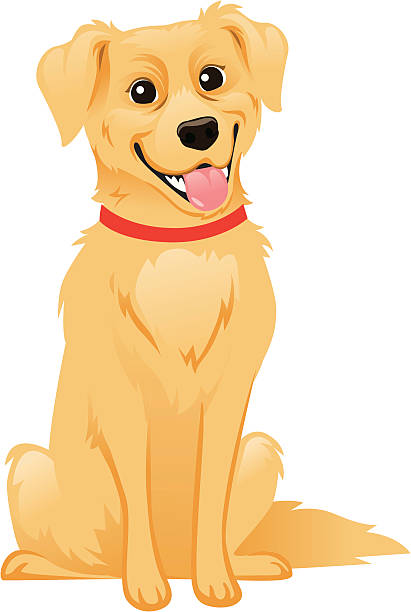 Golden Retriever Dog vector art illustration