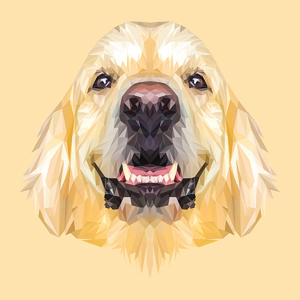 ilustrações de stock, clip art, desenhos animados e ícones de golden retriver dog low poly. - golden retriever