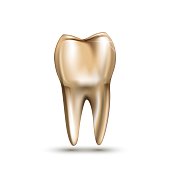Golden tooth with root on white background