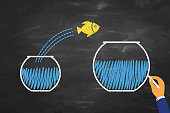 istock Goldfish jumping out of the water on blackboard background 1369032772
