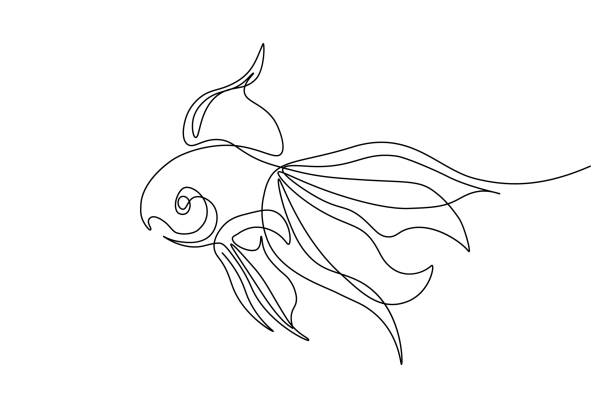 Goldfish Aquarium goldfish in continuous line art drawing style. Black linear sketch isolated on white background. Vector illustration simple fish drawings stock illustrations