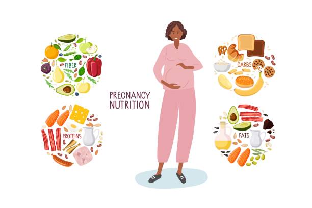 Good nutrition during pregnancy. Healthy food for pregnant woman. Choose foods that are body useful. Food by group, fiber, carbs, fats, proteins. Products for good pregnancy infographic in flat style Good nutrition during pregnancy. Healthy food for pregnant woman. Choose foods that are body useful. Food by group, fiber, carbs, fats, proteins. Products for good pregnancy infographic in flat style. fibre rich food  for pregnancy stock illustrations