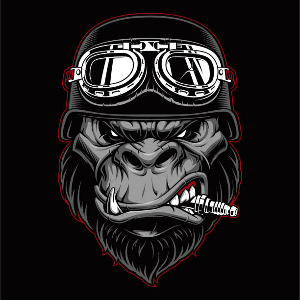 Gorilla biker mascot Gorilla biker mascot with spark plug in the mouth. gorilla stock illustrations
