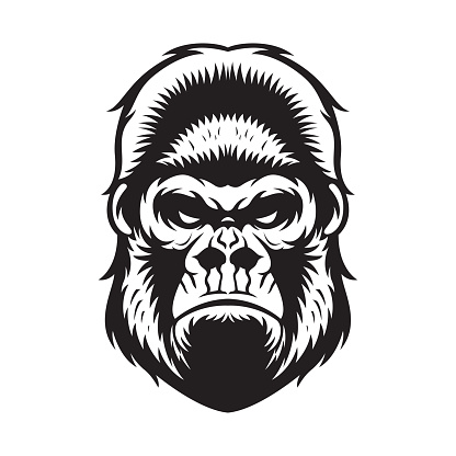 Gorilla Head BW