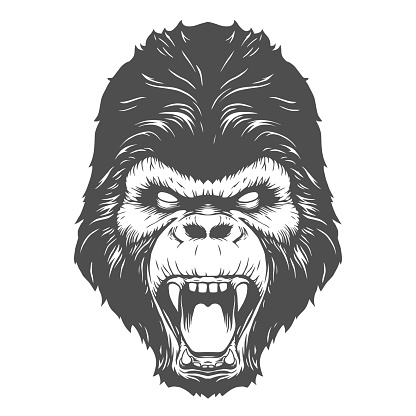 Gorilla head