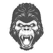 Gorilla head illustration in vector