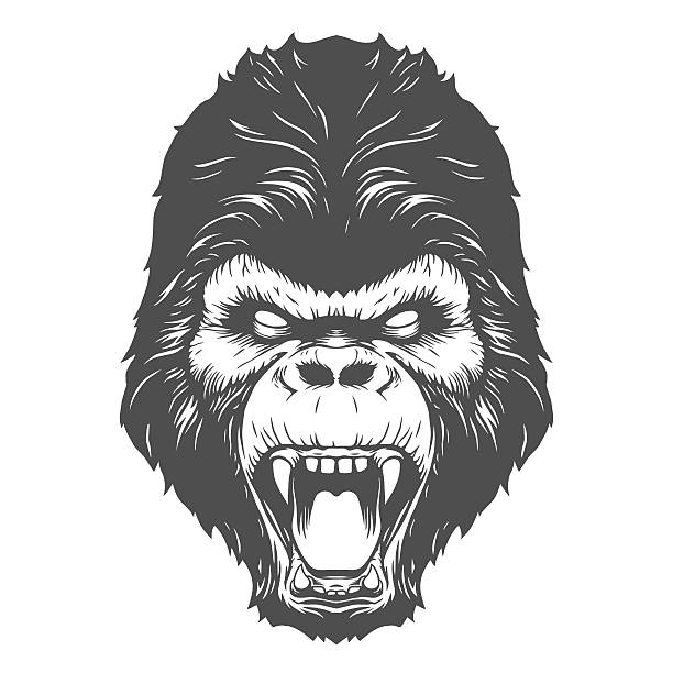 Gorilla head Gorilla head illustration in vector king kong monster stock illustrations
