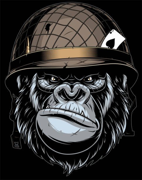 Gorilla in the military helmet. Vector illustration, fierce gorilla wearing military helmet, soldier of fortune, on black background. gorilla stock illustrations