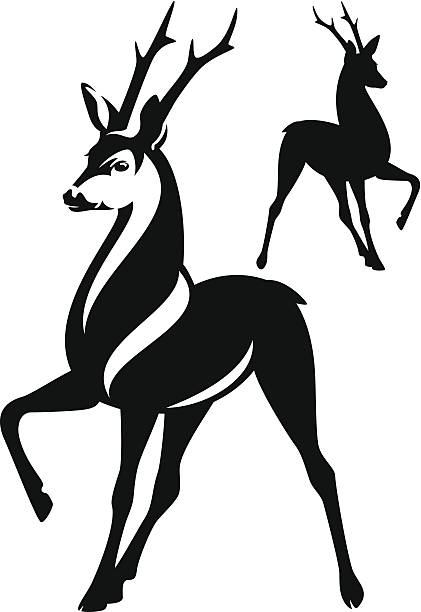 bildbanksillustrationer, clip art samt tecknat material och ikoner med graceful deer - rådjur