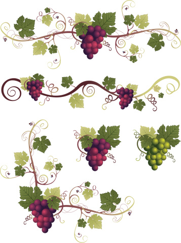 Grape Design Elements