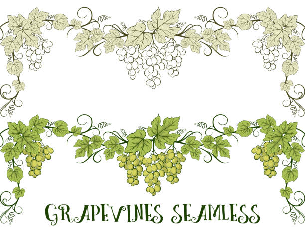 grapevine free brushes 54 free downloads
